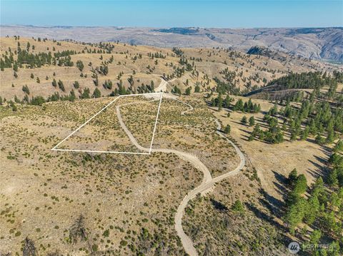 0 Evergreen Camp Rd. Parcel B Chelan WA 98816