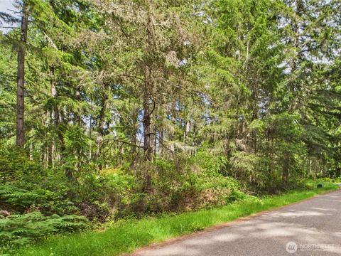 10412 Edgewood Dr Anderson Island WA 98303