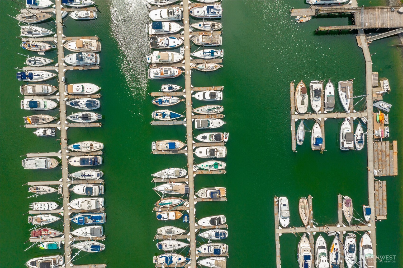 9540 Semiahmoo Parkway E50