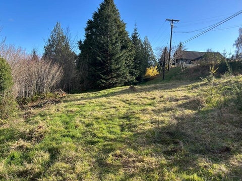 Photo of 0 8th Avenue, Aberdeen, WA 98520 (MLS # 2598024)
