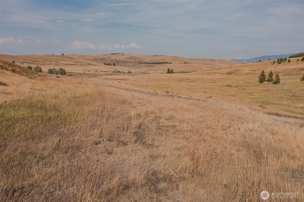 Photo of 44 Wakefield Lane, Oroville, WA 98844 (MLS # 2579913)