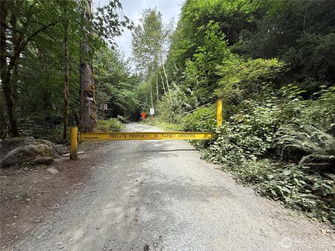 327 Kolisch Road E Carbonado WA 98323