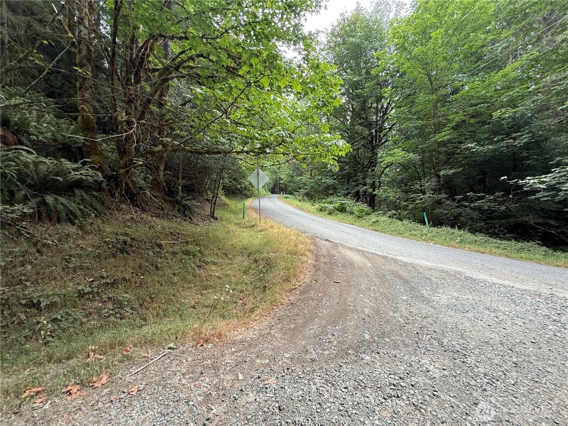 327 Kolisch Road E