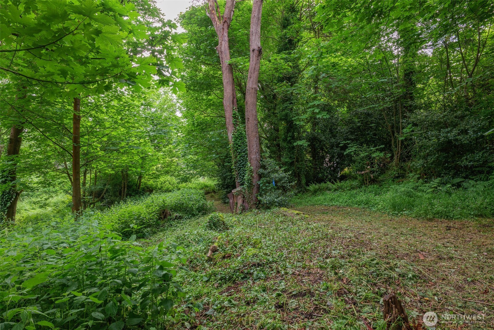 1052 SW Cowan Road