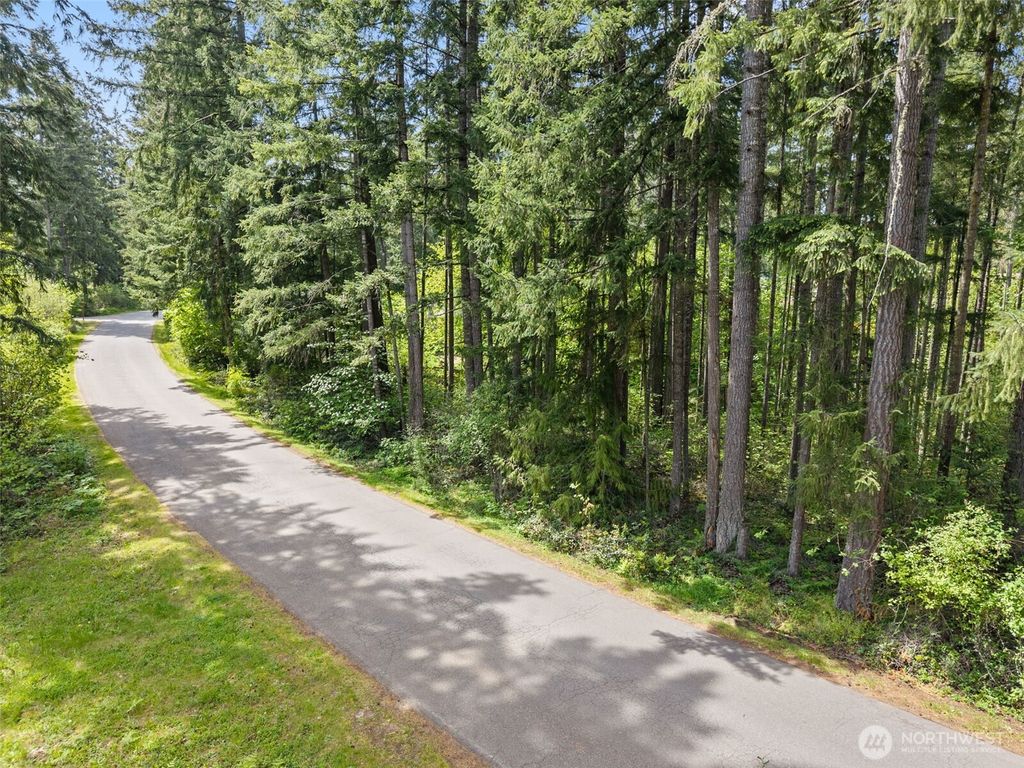Photo of 18336 E Clear Lake Blvd BLVD SE, Yelm, WA 98597 (MLS # 2520088)