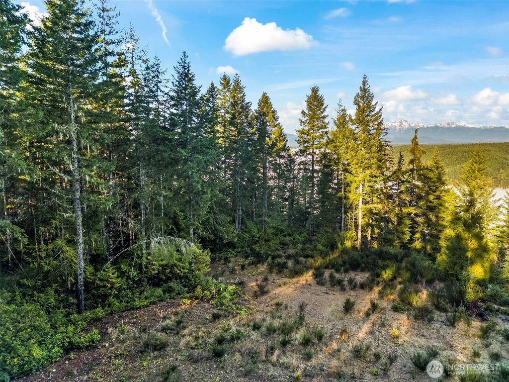 Photo of 1123 E Timber Tides Drive, Union, WA 98592 (MLS # 2469861)