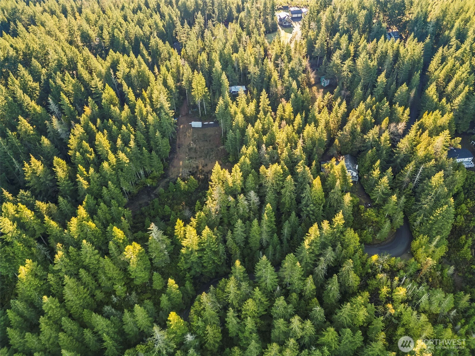 1123 E Timber Tides Drive