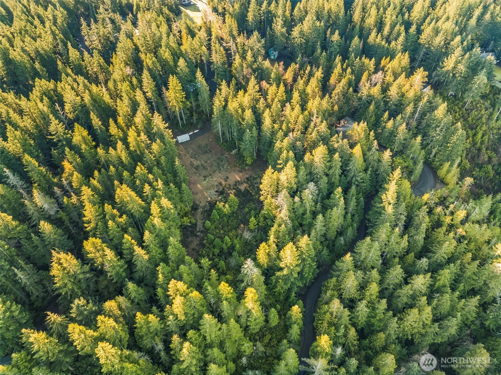 1123 E Timber Tides Drive