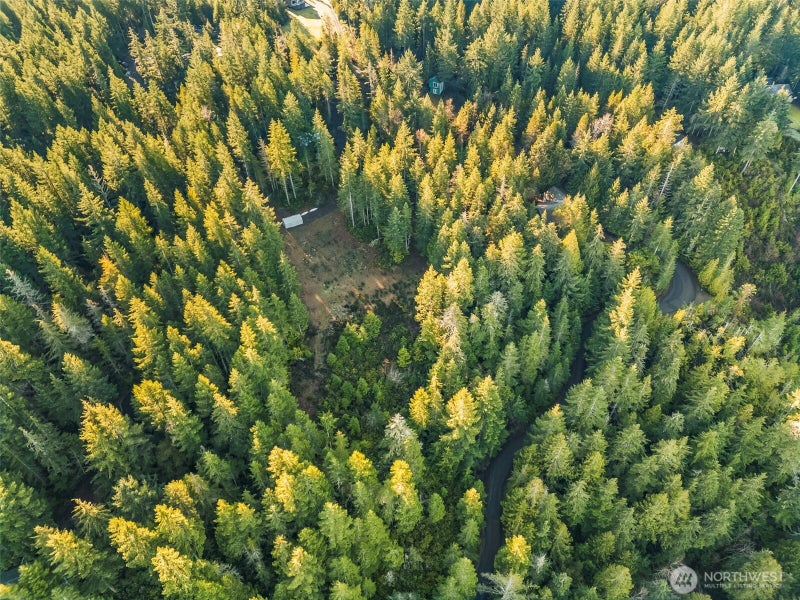 1123 E Timber Tides Drive