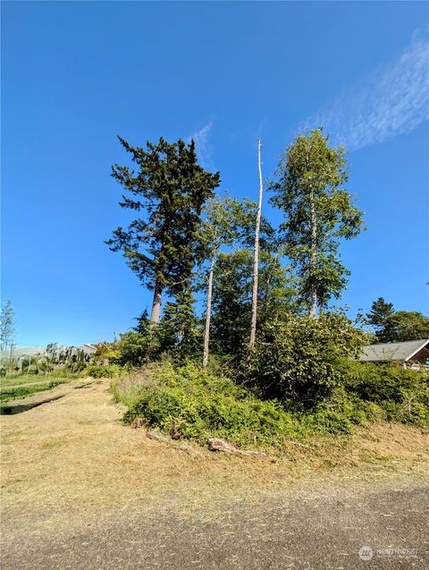 Photo of 30810 xx N Place, Ocean Park, WA 98640 (MLS # 2255609)