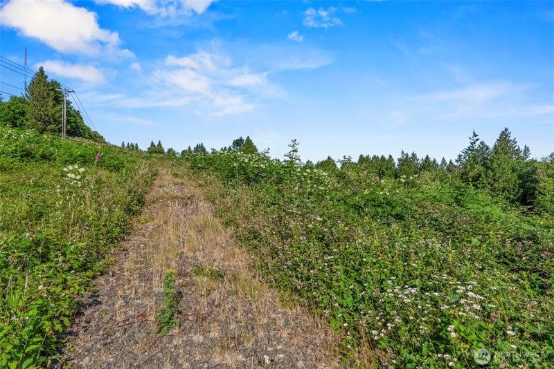 1015 Lone Oak Road