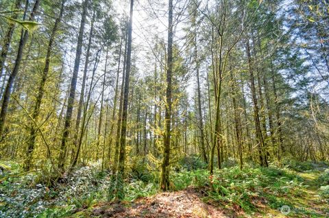 0 Lincoln Creek Road Rochester WA 98579