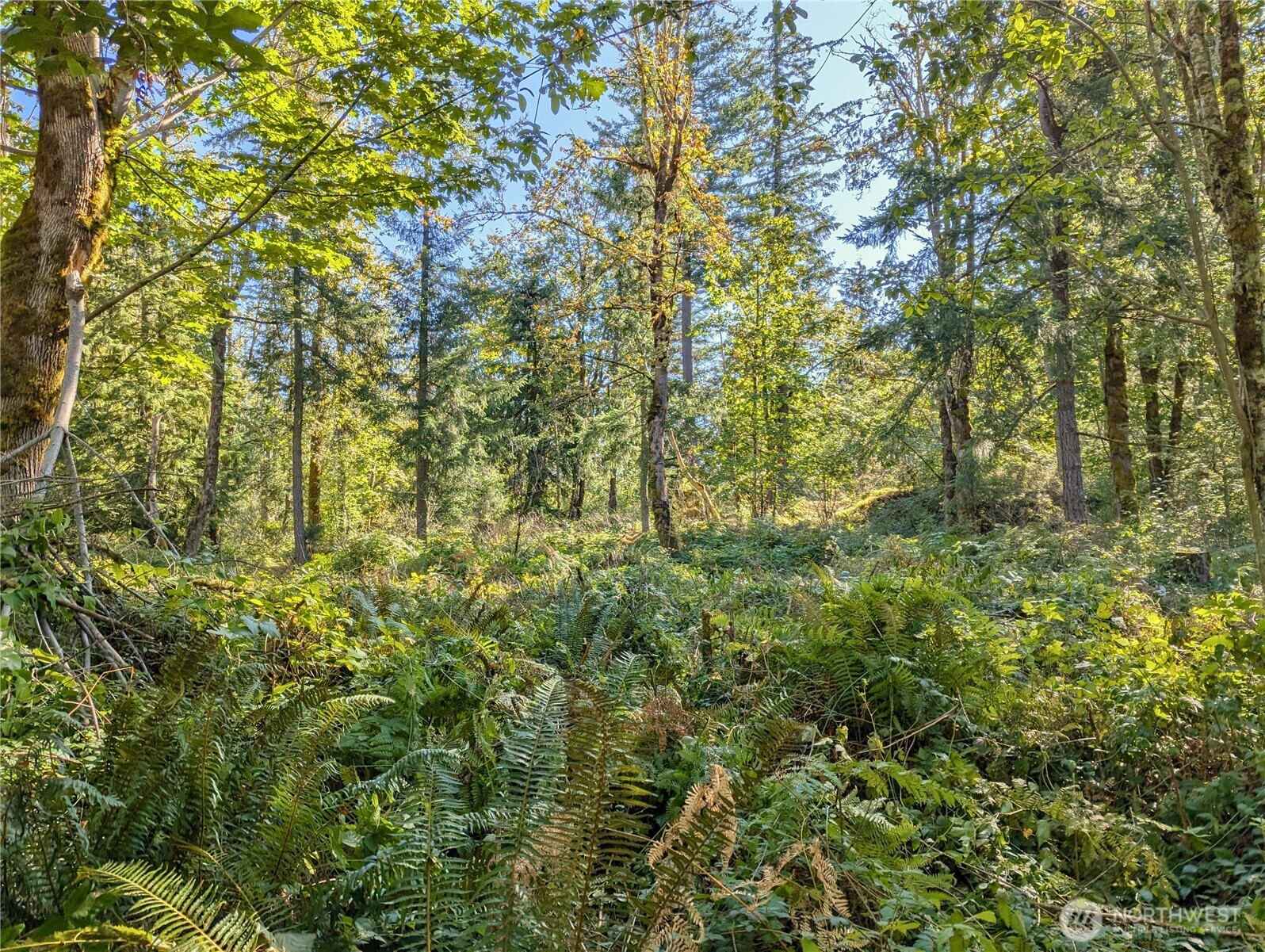 1110 350th Avenue SE