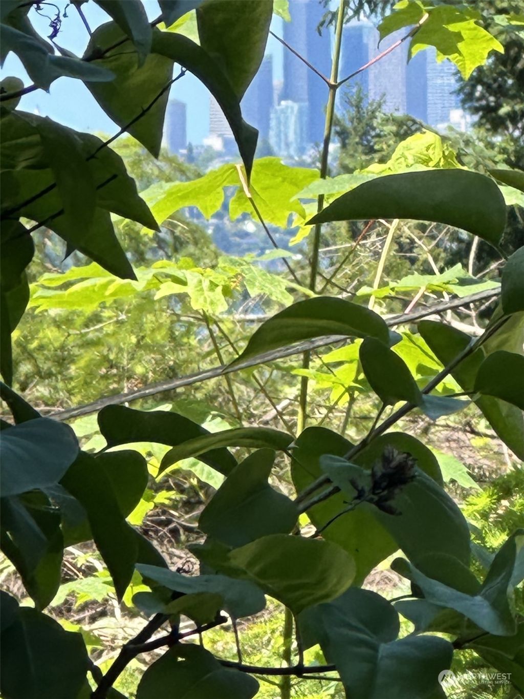 Photo of 4450 84th Avenue SE, Mercer Island, WA 98040 (MLS # 2255591)