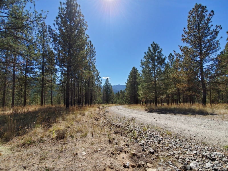 0 Long Horn Trail