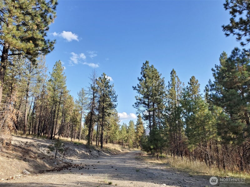 0 Long Horn Trail