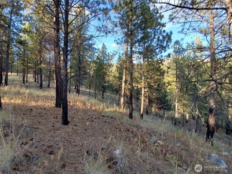 0 Long Horn Trail
