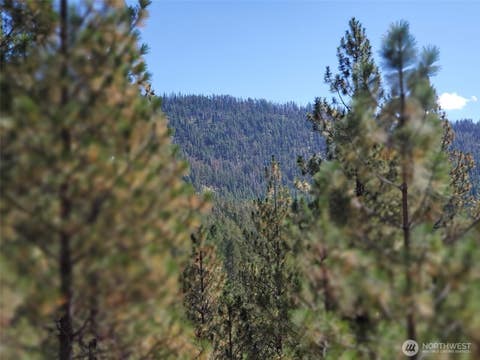 Photo of 0 Long Horn Trail, Riverside, WA 98849 (MLS # 2573340)