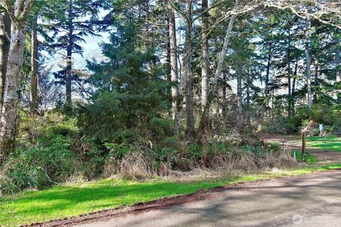 Photo of 721 Chenois Avenue NE, Ocean Shores, WA 98569 (MLS # 2475928)
