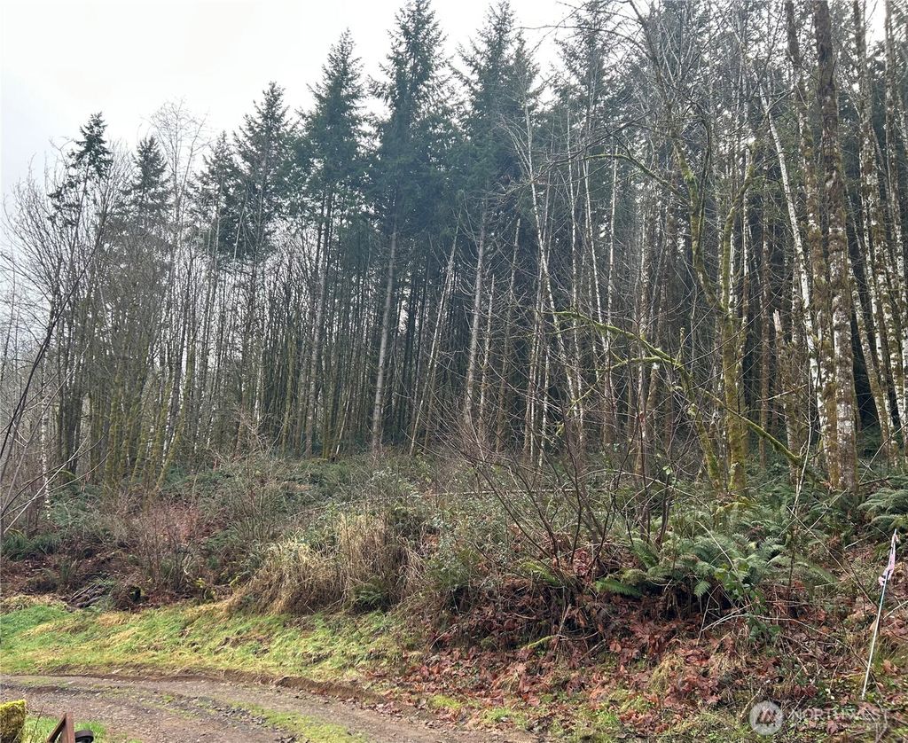 Photo of 514 Berry Rd Rd, Adna, WA 98532 (MLS # 2481364)