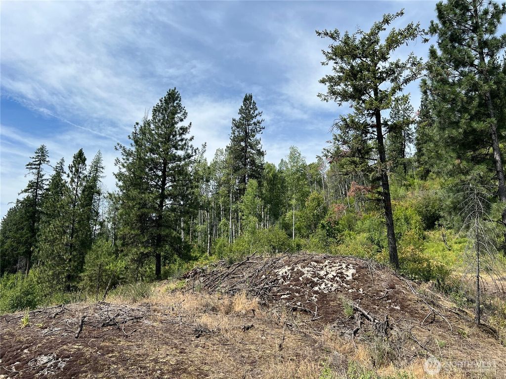 Photo of 0 1 TBD Mitchell Road, Northport, WA 99157 (MLS # 2468502)