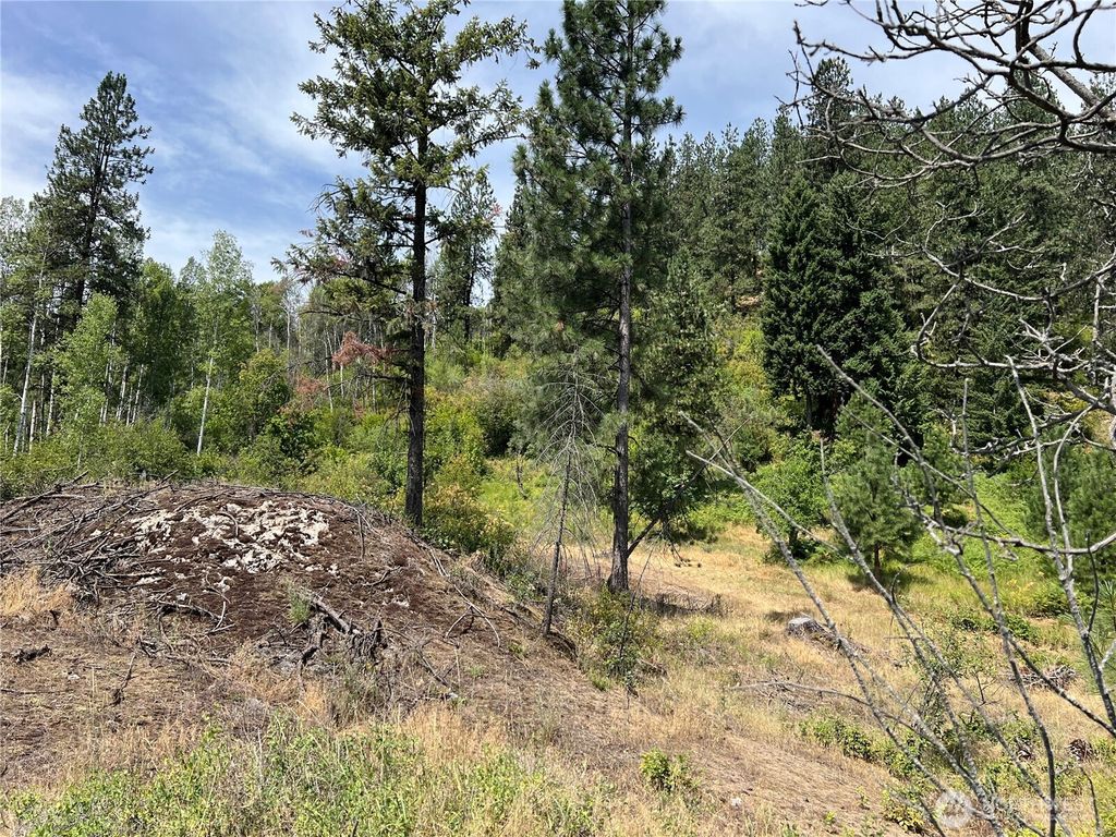 Photo of 0 1 TBD Mitchell Road, Northport, WA 99157 (MLS # 2468502)