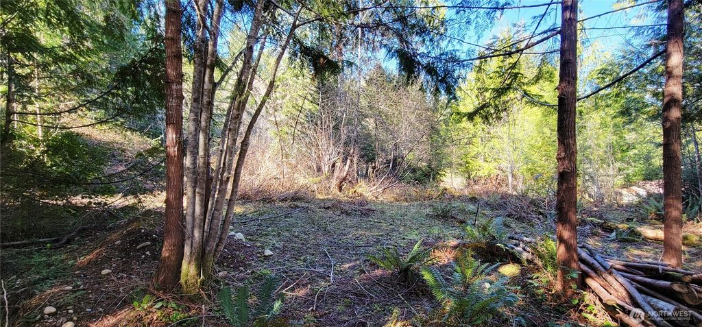 Photo of 170 E Sprague Ave, Union, WA 98592 (MLS # 2499877)