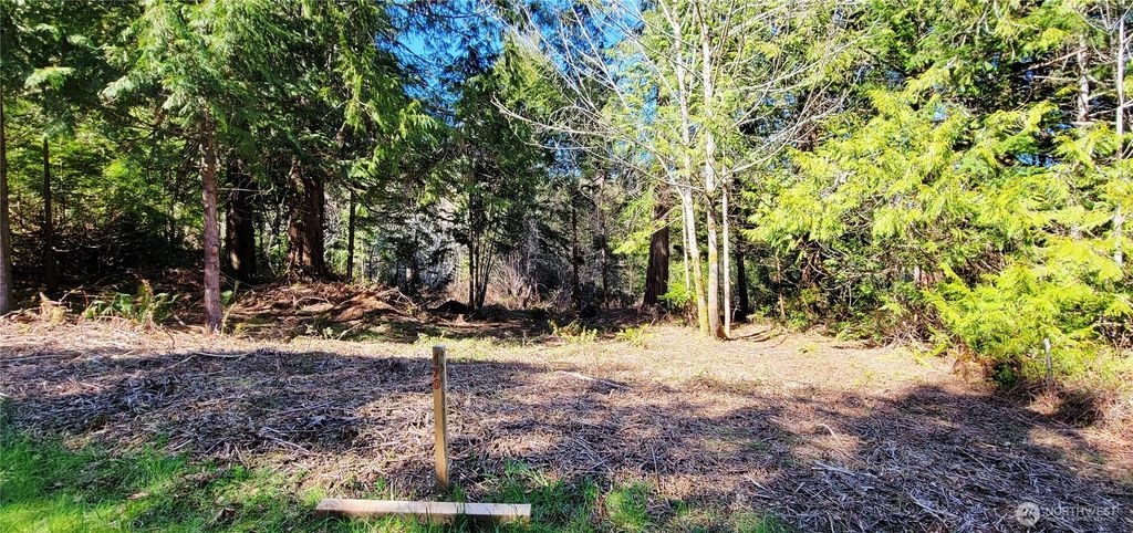 Photo of 170 E Sprague Ave, Union, WA 98592 (MLS # 2499877)