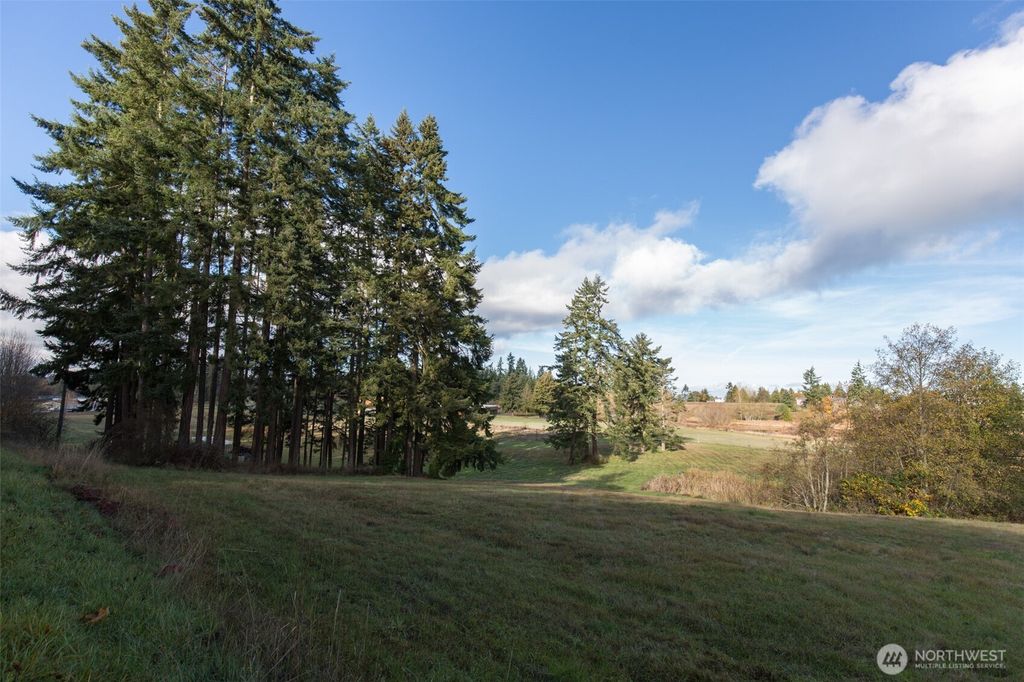 Photo of 9999 Levig Road, Port Angeles, WA 98362 (MLS # 2496588)