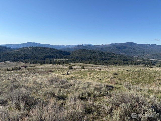 111 TBD White tail Lane