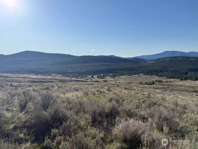 111 TBD White tail Lane