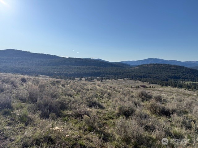 111 TBD White tail Lane