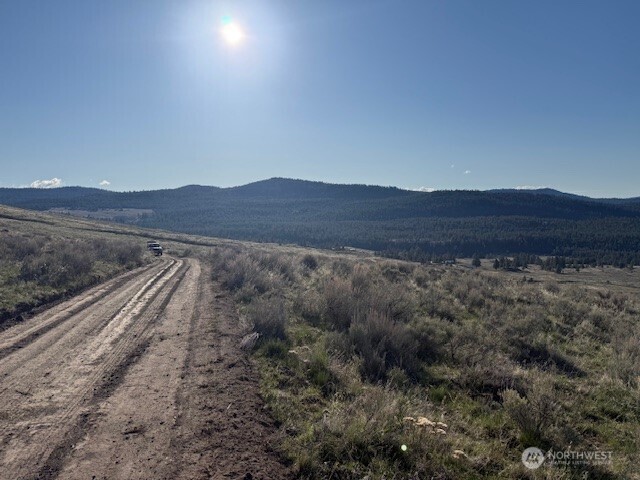 111 TBD White tail Lane