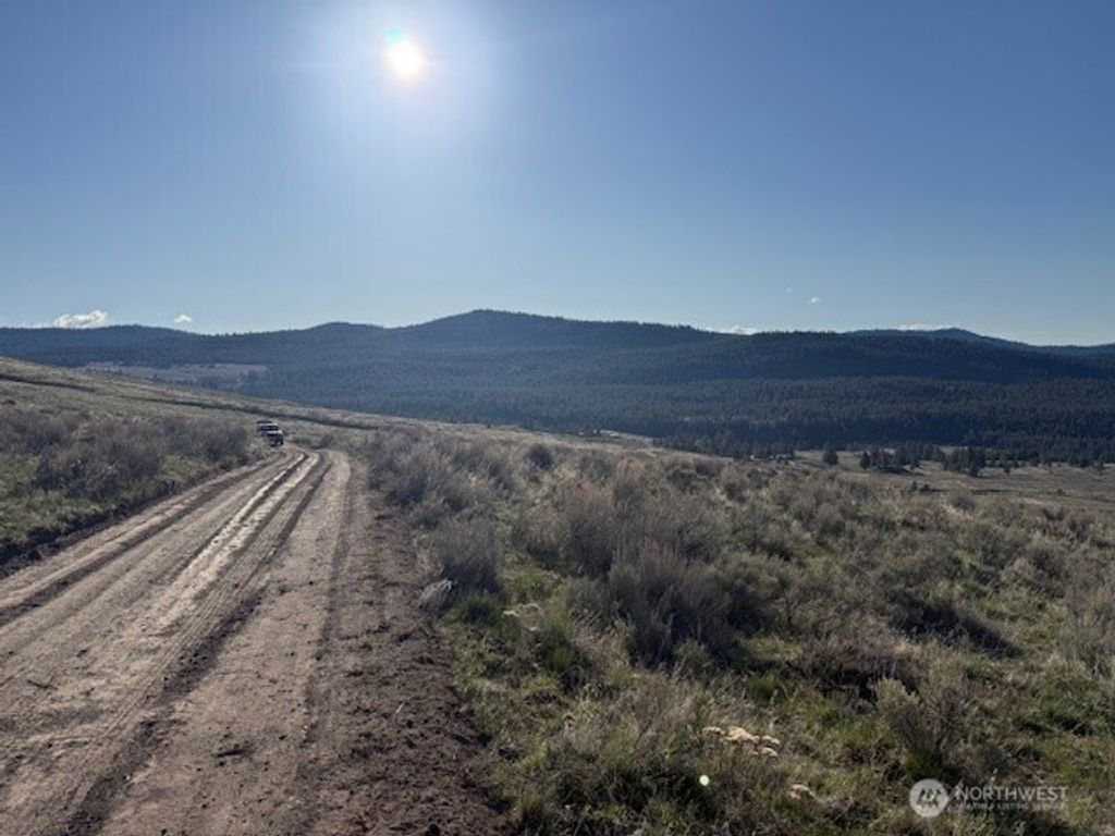 Photo of 111 TBD White tail Lane, Tonasket, WA 98855 (MLS # 2509765)