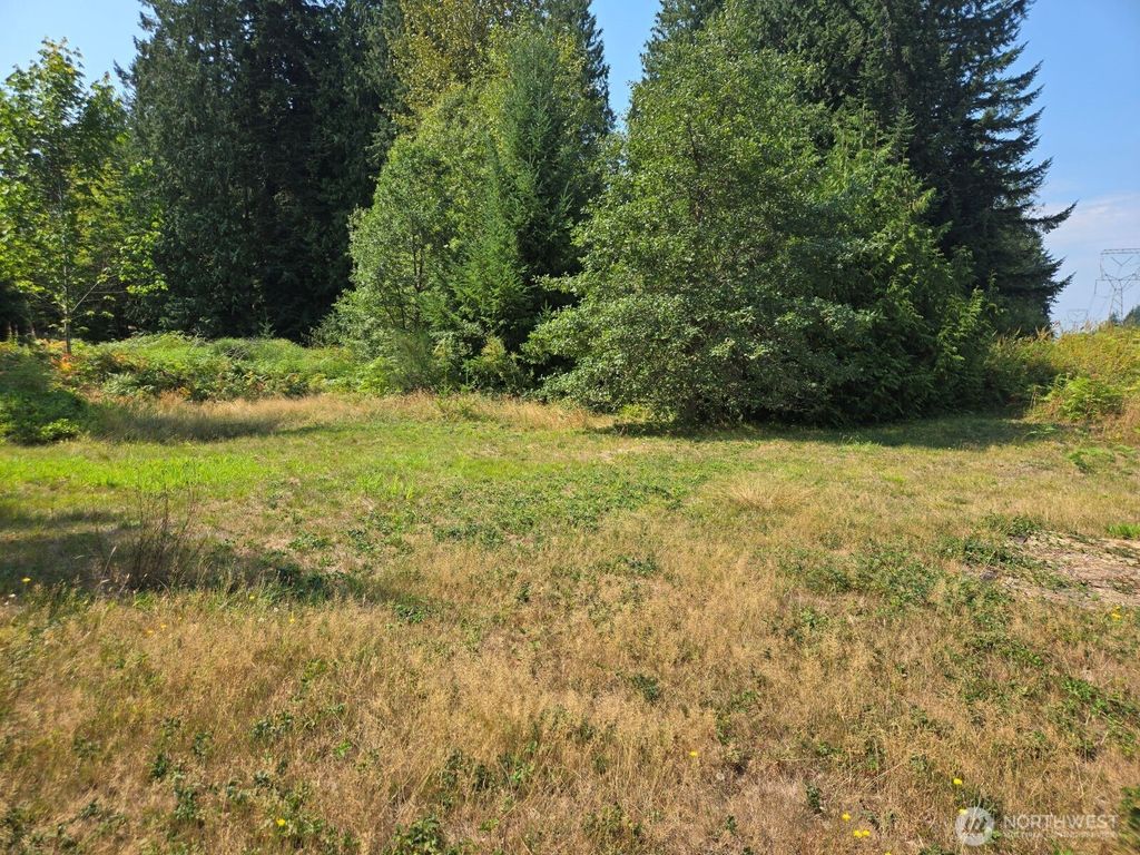 Photo of 9905 212th Street SE, Snohomish, WA 98296 (MLS # 2426448)
