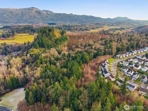 Photo of 14804 State Route 9, Mount Vernon, WA 98273 (MLS # 2470840)