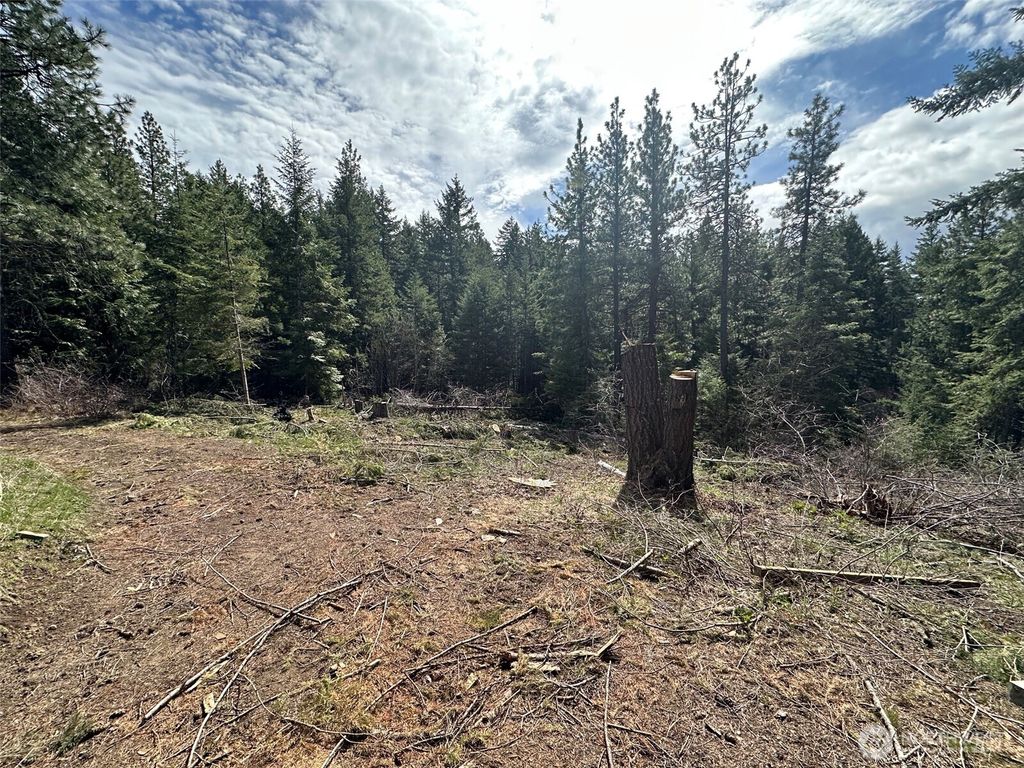 Photo of 170 Morel Road, Ronald, WA 98940 (MLS # 2489947)