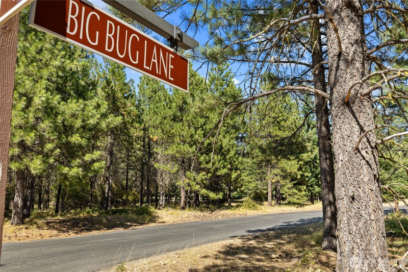 51 Big Bug Lane