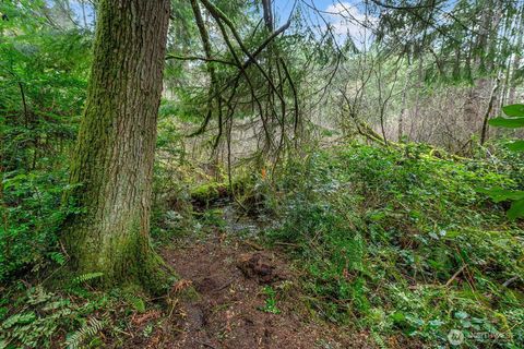 Photo of 0 SW 220th Street, Vashon, WA 98070 (MLS # 2485691)