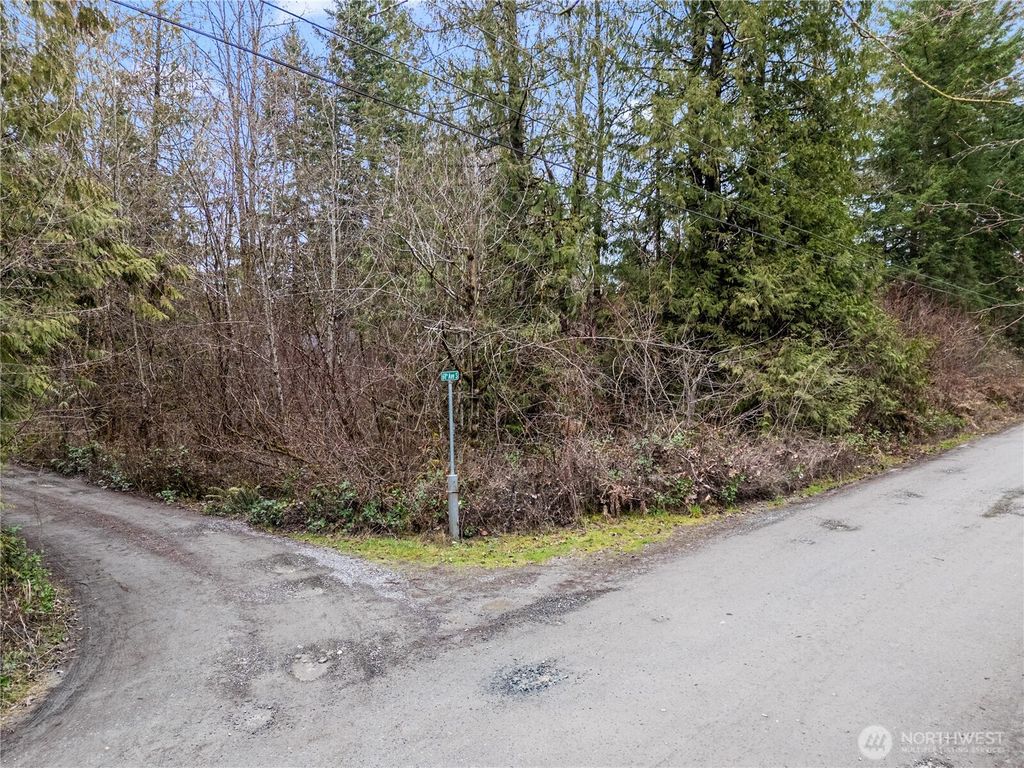 Photo of 29909 68th Avenue S, Roy, WA 98580 (MLS # 2480316)