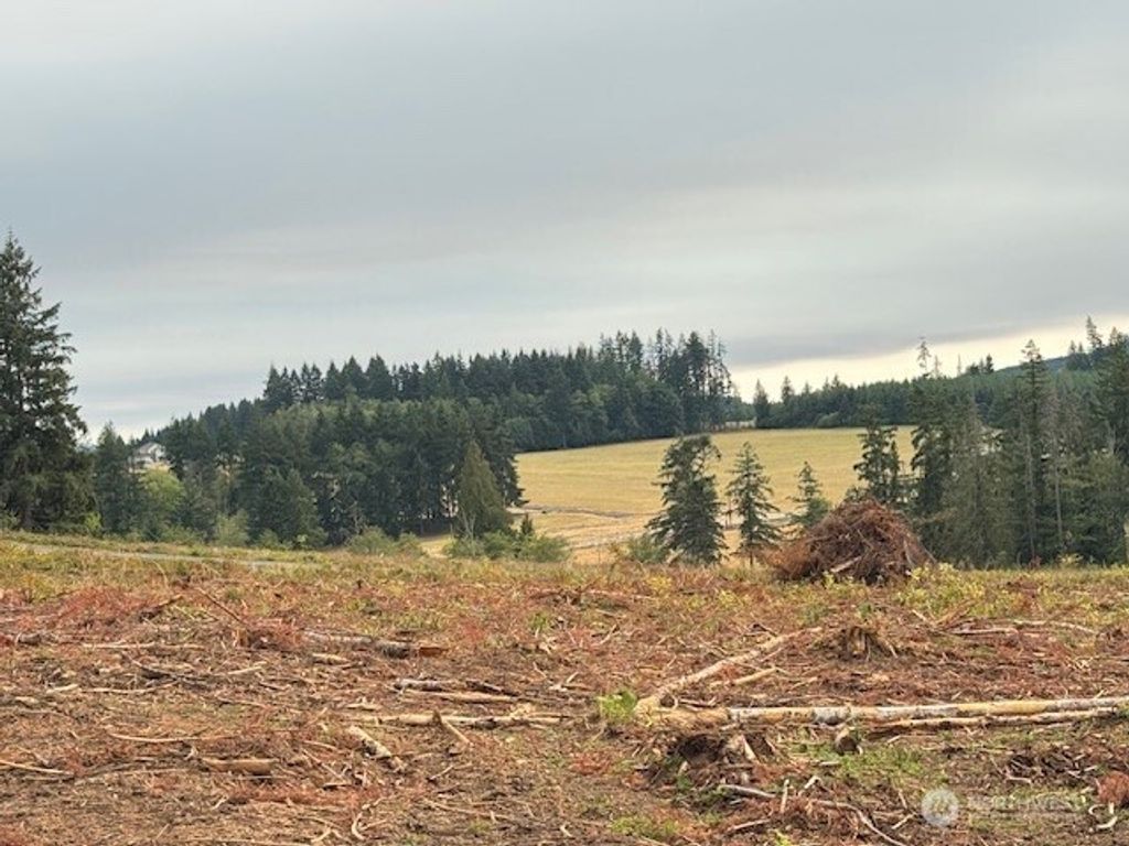 Photo of 121 Woodberry Lane, Winlock, WA 98596 (MLS # 2487844)