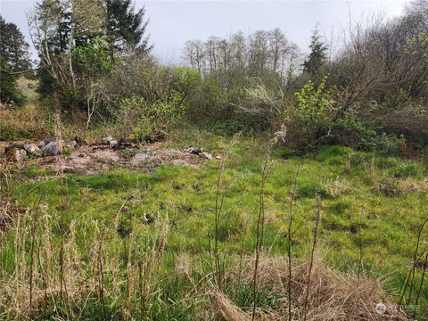 Photo of 3502 102nd Street, Long Beach, WA 98631 (MLS # 2218454)