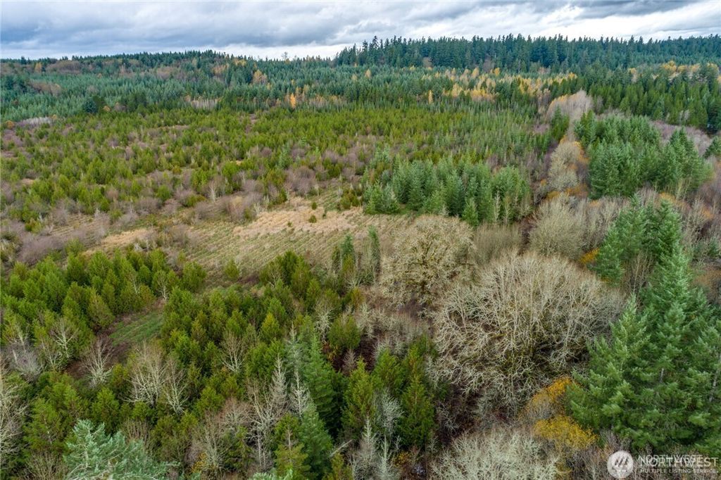 Photo of 112 Frost Road, Winlock, WA 98596 (MLS # 2446748)