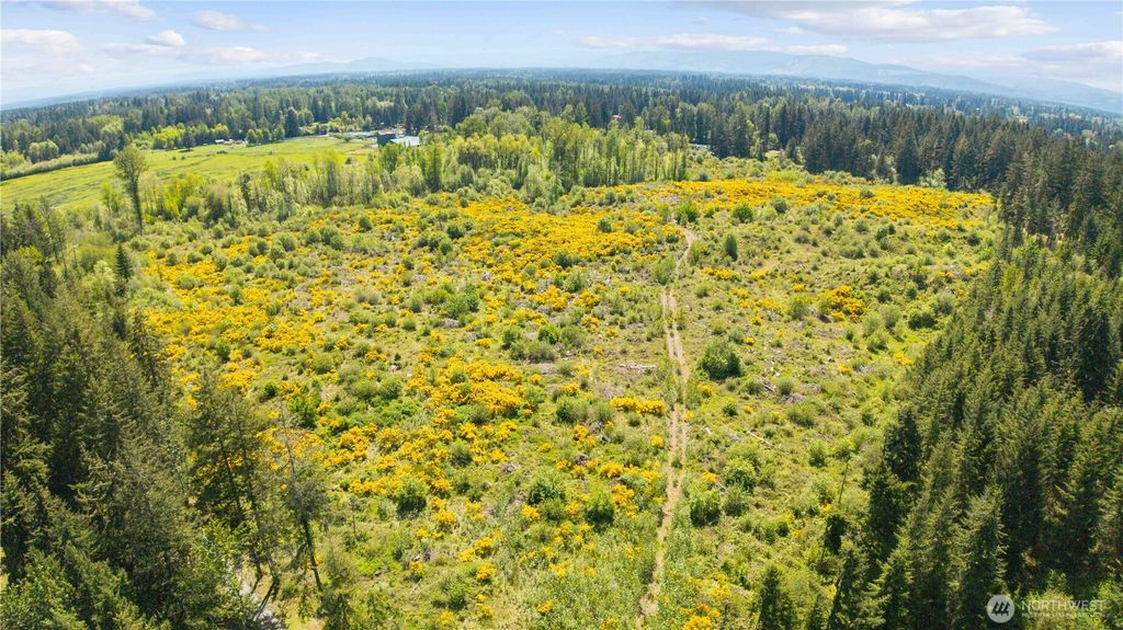 Photo of 0 Charbonneau Lane SE, Yelm, WA 98597 (MLS # 2526550)