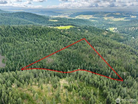 Photo of 19960 N Mt Spokane Park Dr DR, Mead, WA 99021 (MLS # 2546524)