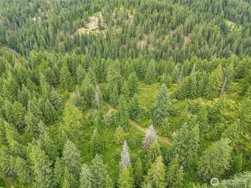 Photo of 19960 N Mt Spokane Park Dr DR, Mead, WA 99021 (MLS # 2546524)