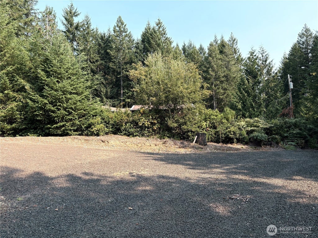 Photo of 110 N Napilikai Drive, Lilliwaup, WA 98555 (MLS # 2573057)