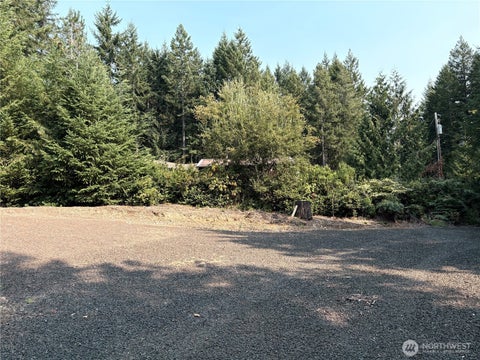 Photo of 110 N Napilikai Drive, Lilliwaup, WA 98555 (MLS # 2573057)
