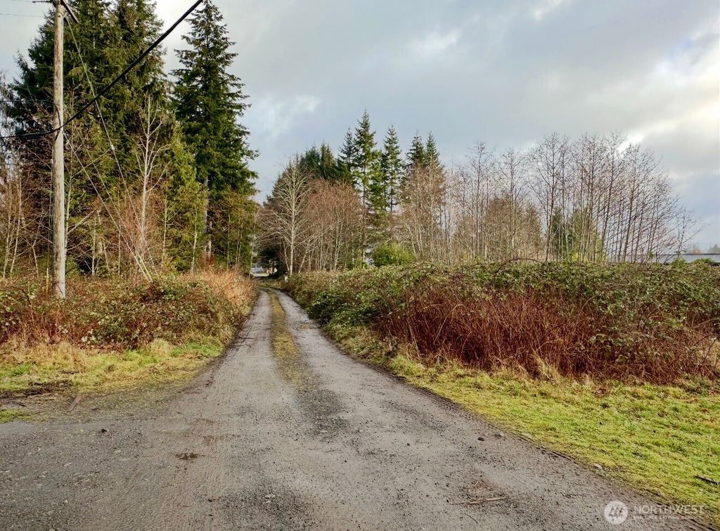 Photo of 9999 Merchant Road, Forks, WA 98331 (MLS # 2490602)