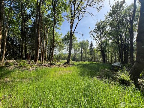 3 Leland Valley Road W Quilcene WA 98376